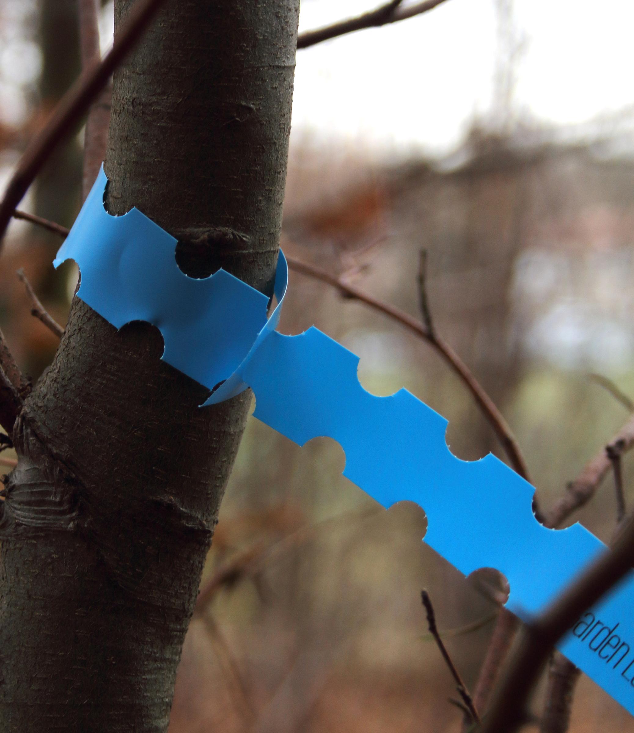 ea841e6d8ed323ed13a93a796b9a725e