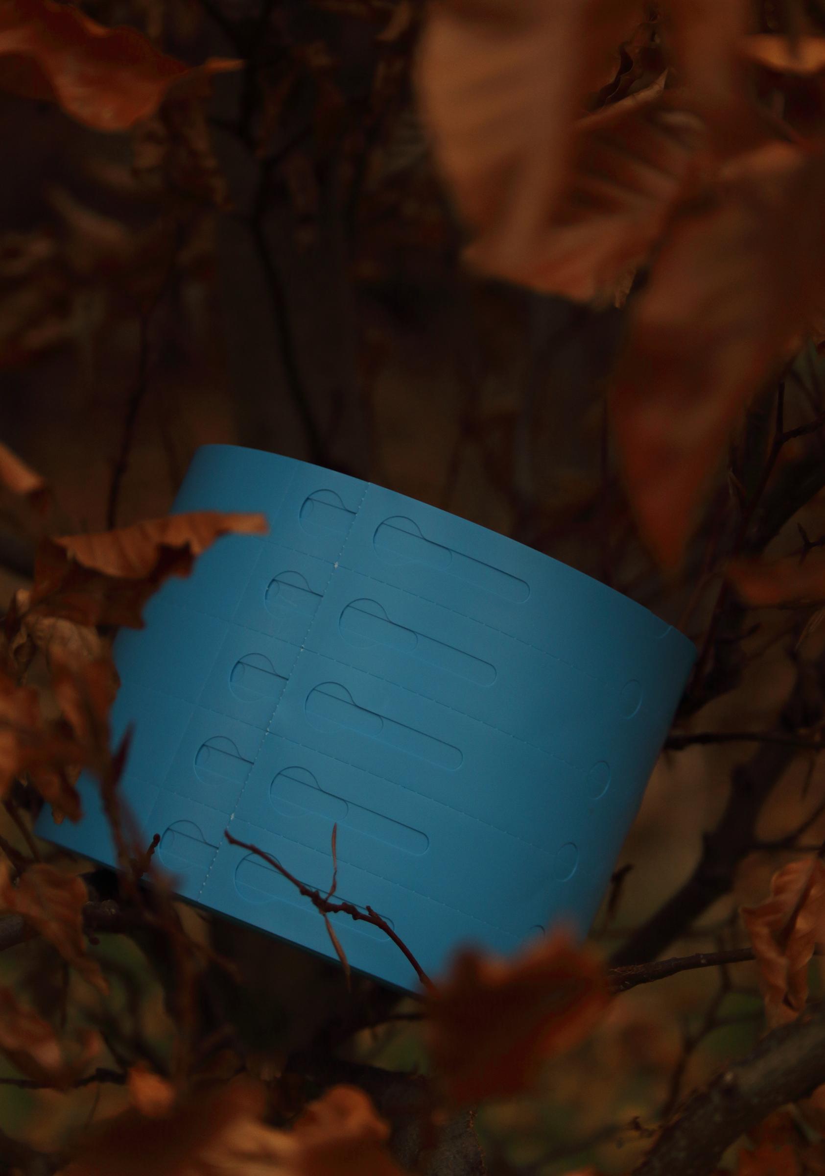 e3380c5967c8fee64a454b8853556567