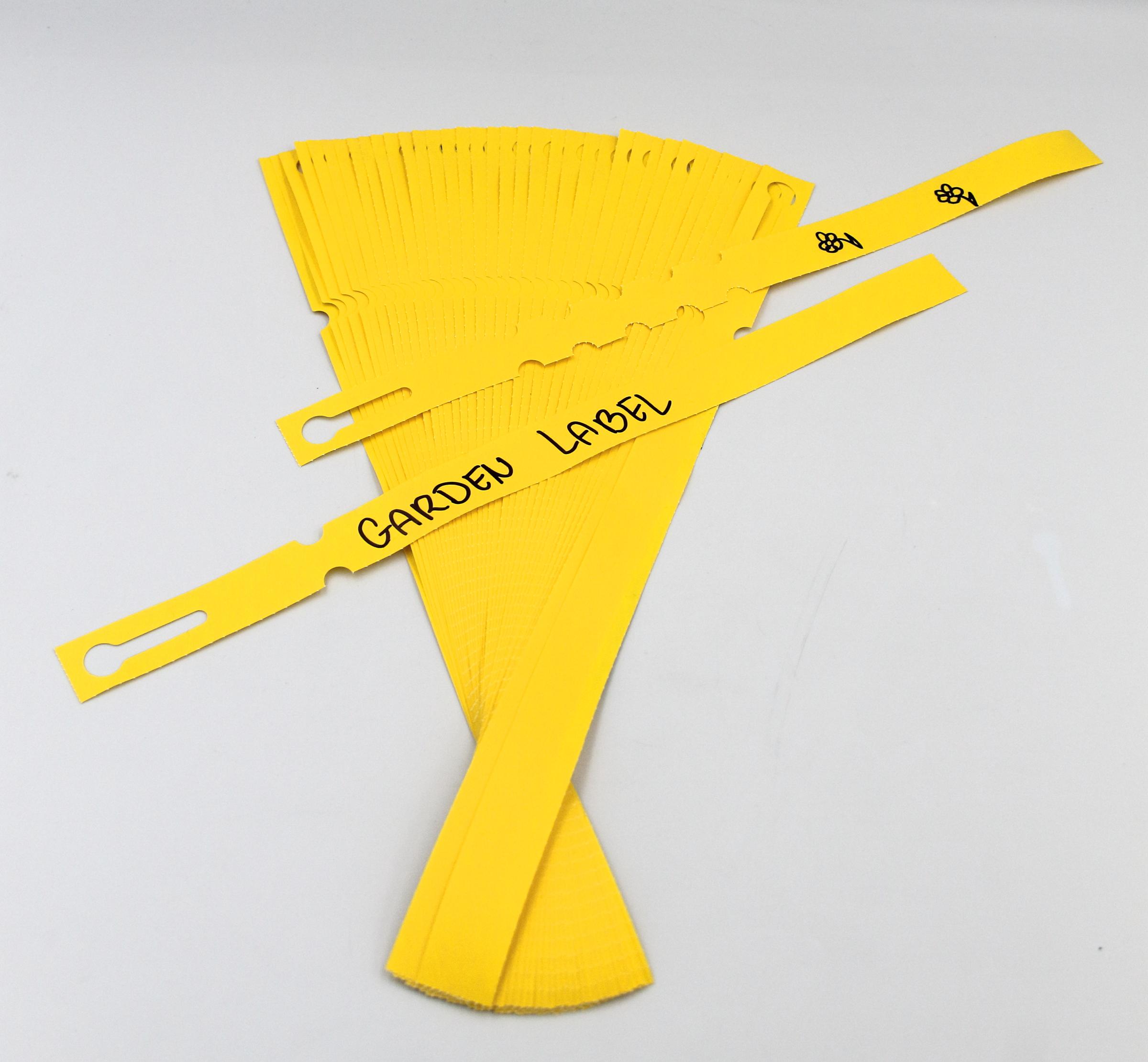 91e3f18b6215c202efb25e123e1957cf