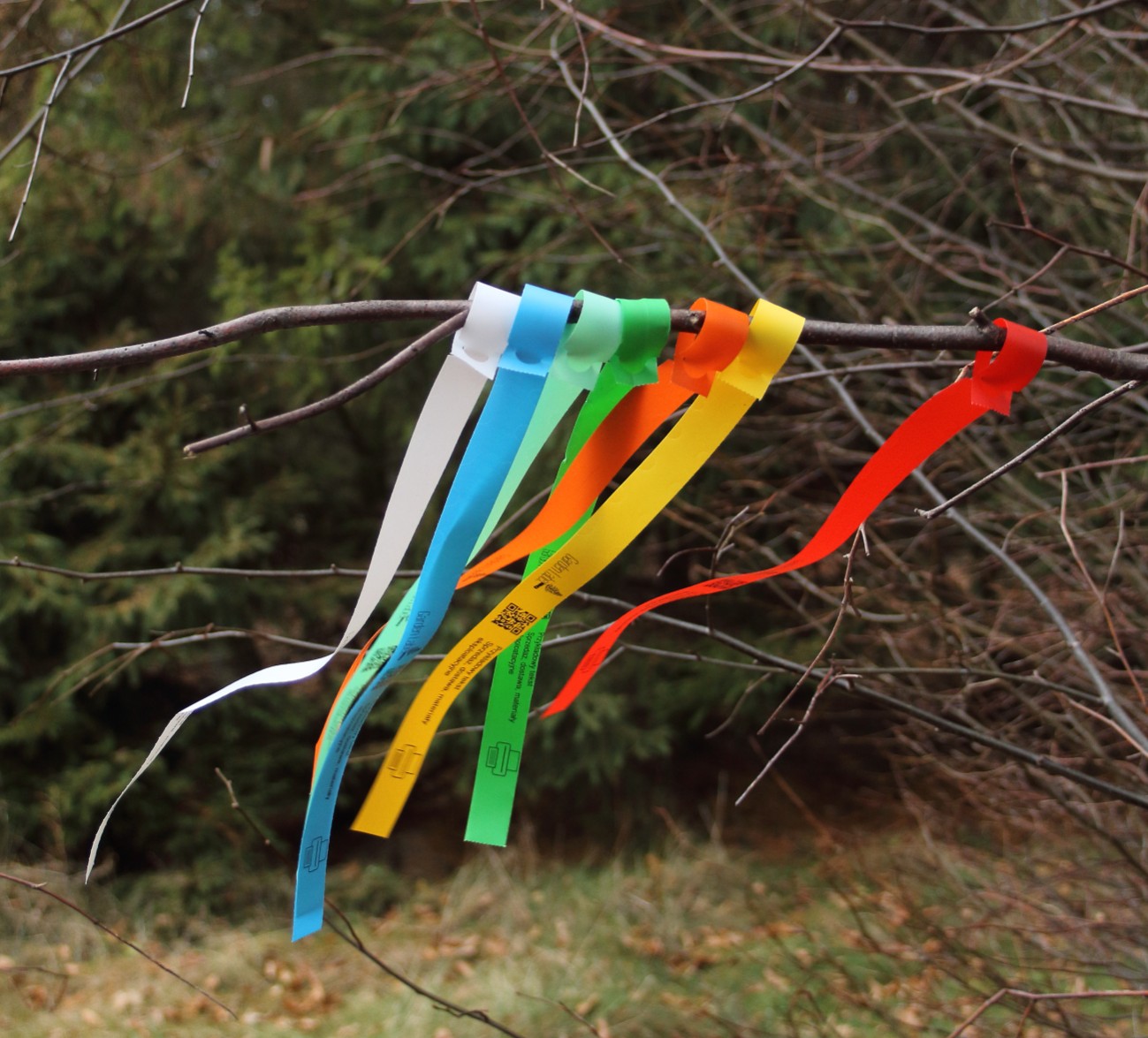 3e11a902194812aa33db95b80e79ddaa