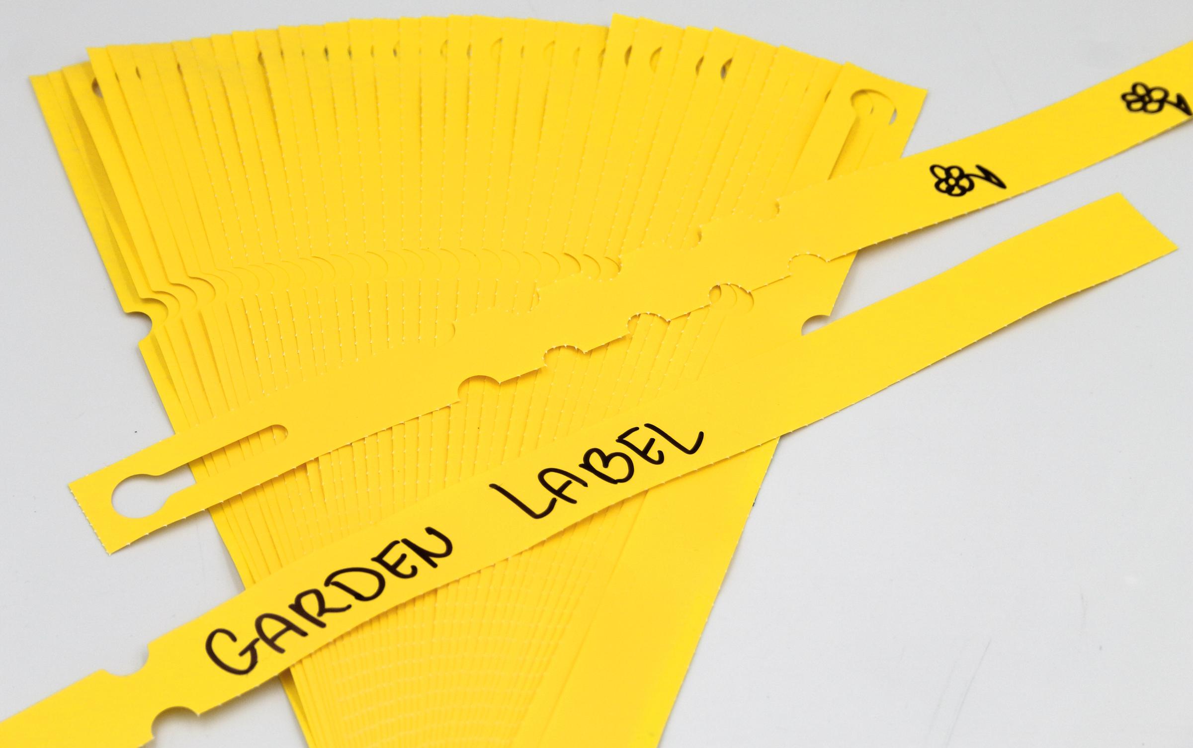 693a6d536ab8b7a7038c529a194e0a04