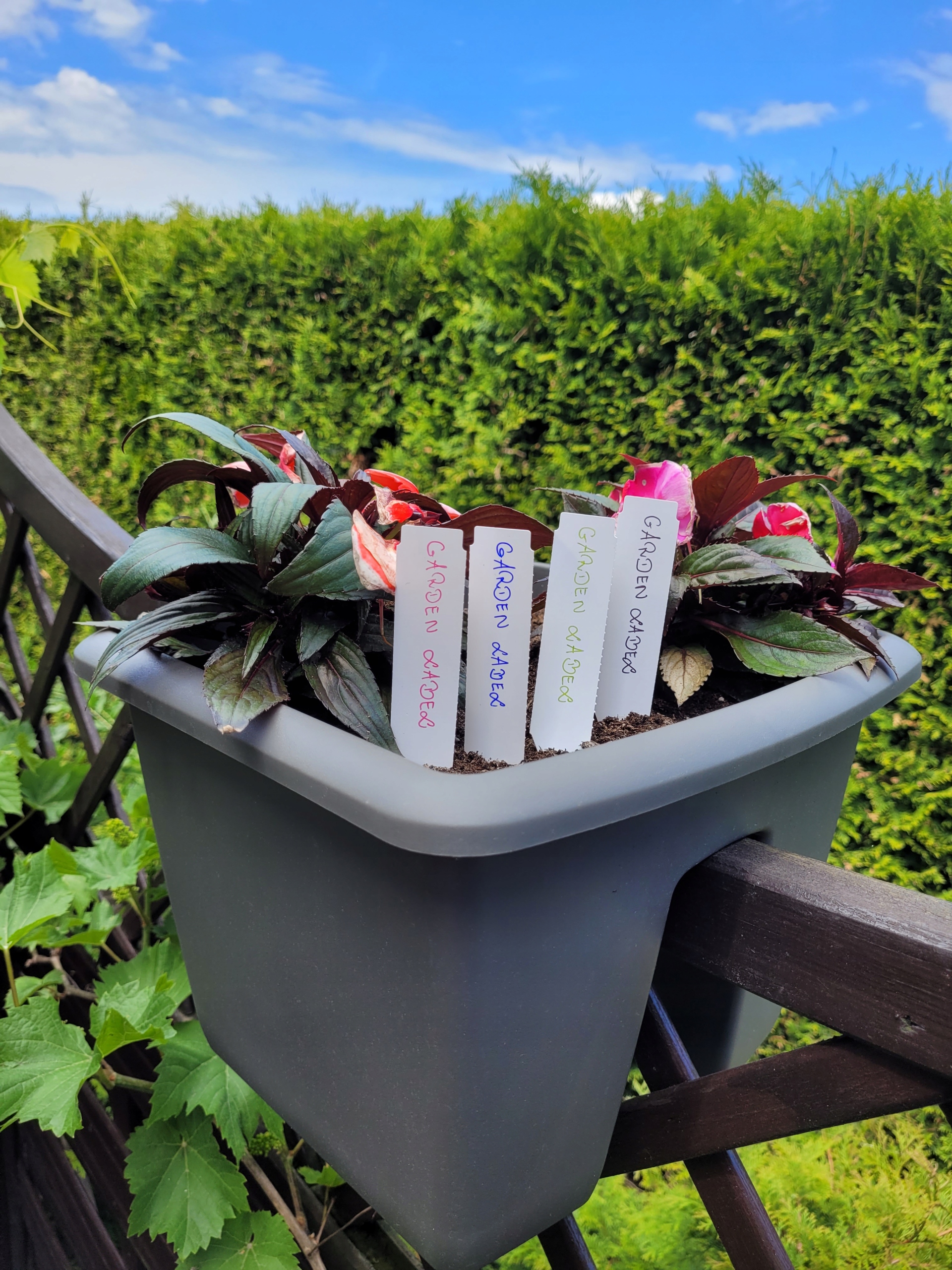 633392e93d4134f8fd5d411a546f2b07