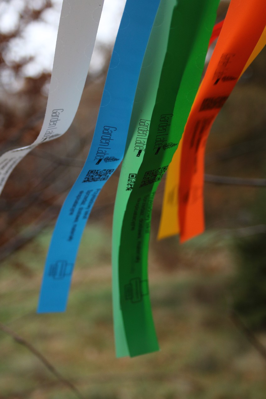 168f4dedb9d9dbb1152eb727e8625f8f