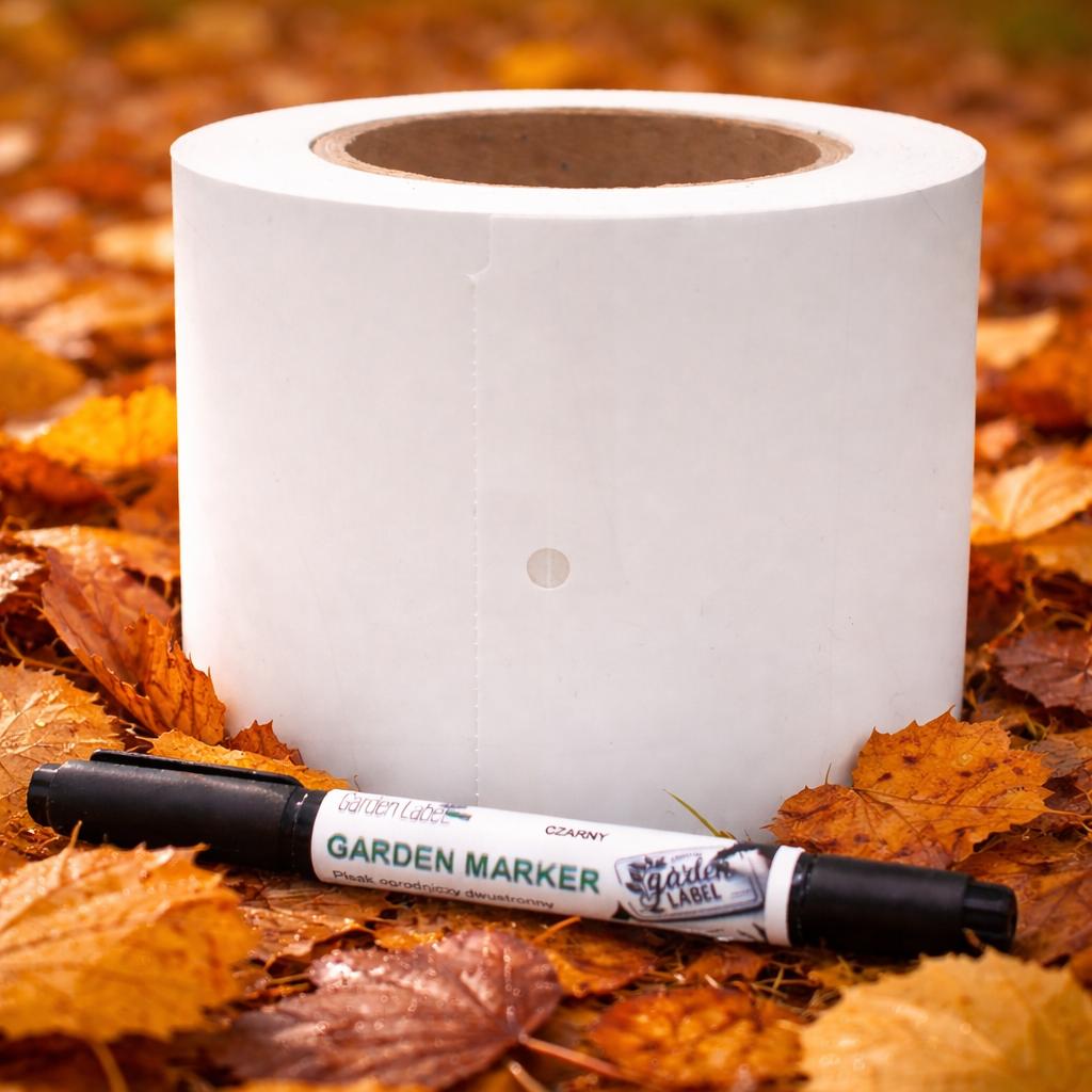 7df59f7becfc5619212ca7ad844a8acc