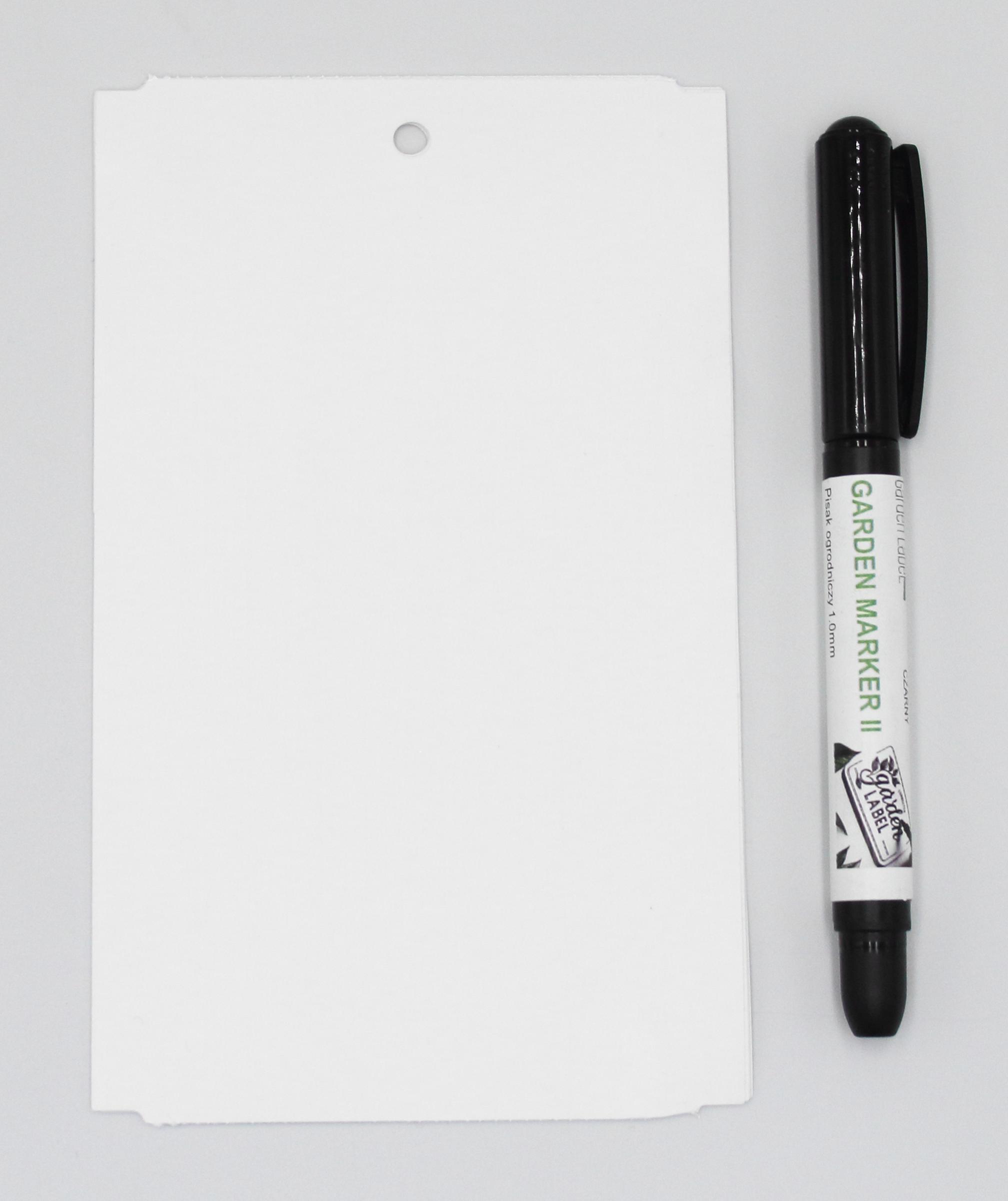 260ce385fd1c5a37415810c43d302056