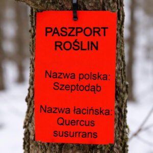 bbcbb04c2fda10fab0ab4270995fb8b8