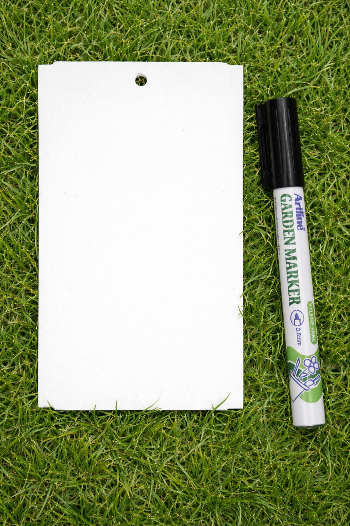 218e0e776aa04ef8f609f98b28f1f146