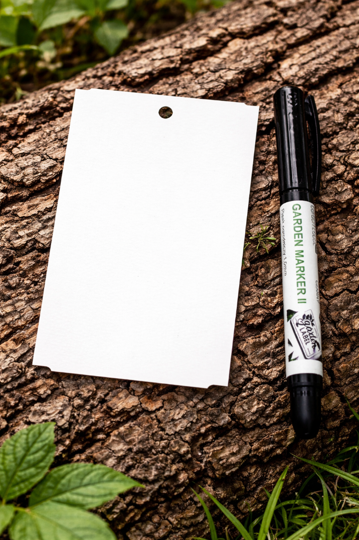 df788d38192ebda765f84521fcff69e8