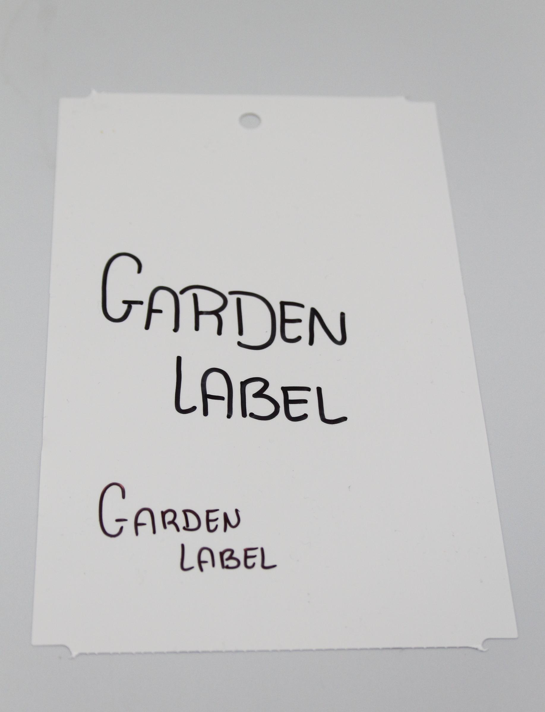 672d232a33f98588ed94560ffe3032ff