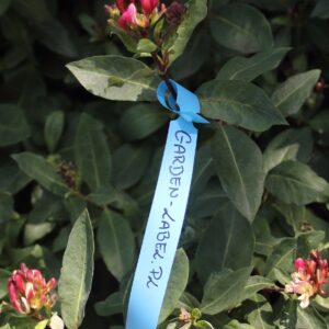 7a8a2ba8203394c3c2dbda81bfbfa6dc