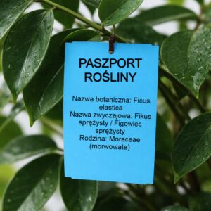 811181d28892dc9dd9871564c31b60e3