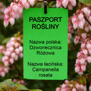 a025d8c25a684dc0e7879fee977c19d3