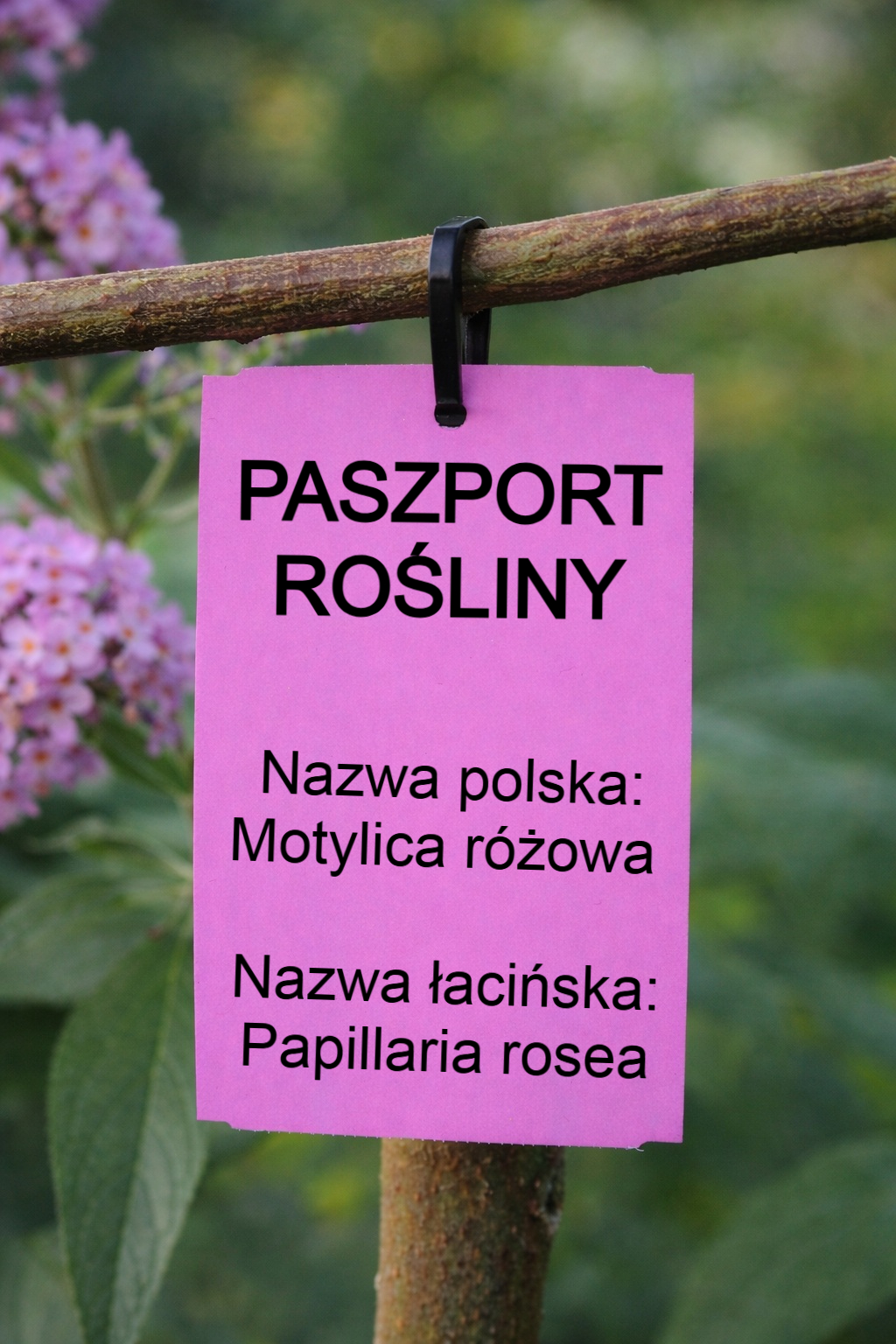 3703dd1ab5b3d0da5db16d2d40ccfbf6