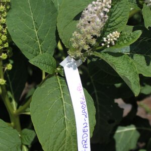 cb9e0acdf63dcc631e20159cfd0099ae